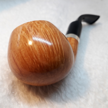 L'Anatra